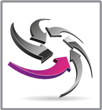Legal Risk Management
